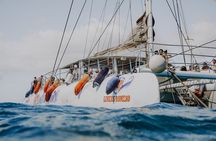 Playa Blanca: Mini Cruise to Papagayo with Swimming Stop