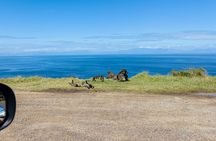 Full Day Tour of Cape of Good Hope and Boulders Beach Penguins