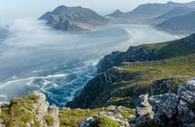 Full Day Tour of Cape of Good Hope and Boulders Beach Penguins