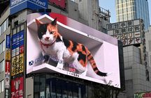 Complimentary Shinjuku Highlights Walking Tour (Pay‑by‑Tip)