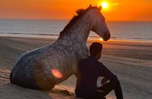 Sunset Horse Ride Experience in Essaouira