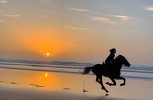 Sunset Horse Ride Experience in Essaouira