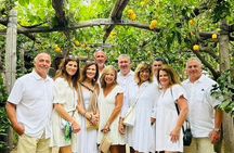 Walking Food Tour in Sorrento w/ Limoncello Factory Lemon Grove 