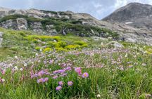 Private Colorado Backcountry 4x4 Off Road Adventure Tour
