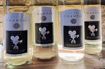 NON BUS PRIVATE WINE TOUR Traverse City Old Mission Peninsula 