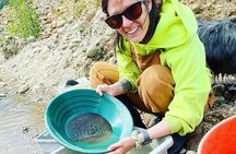 3 Hour: Alaska Gold Panning Experience near Denali 