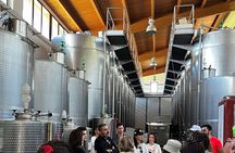 Winery tour and tasting in the Chianti hills