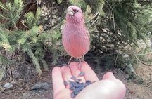 Horse Riding in Ala Archa National Park