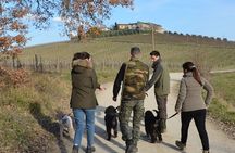 Search truffle lunch with tasting in Castellina in Chianti