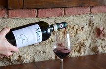 Search truffle lunch with tasting in Castellina in Chianti