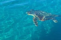 Turtle Island Cameo and Keri Caves with Transport Zakynthos