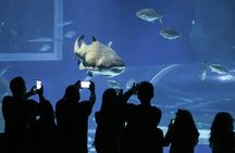 Adventure tour with Sugarloaf Mountain, AquaRio and BioParque