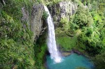 Raglan New Zealand Adventure Tour from Auckland