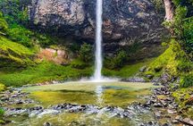 Raglan New Zealand Adventure Tour from Auckland