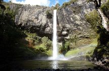 Raglan New Zealand Adventure Tour from Auckland