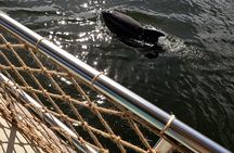 Tiki Boat Tour in Vero Beach