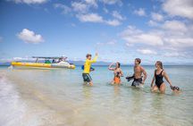 Ocean Safari Great Barrier Reef Experience in Cape Tribulation