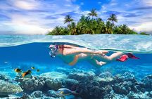 Pigeon Island Snorkeling Tour From Uppuveli Beach