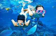 Pigeon Island Snorkeling Tour From Uppuveli Beach