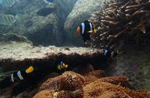 From Uppuveli Beach: Pigeon Island Snorkeling Tour