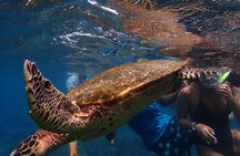 From Uppuveli Beach: Pigeon Island Snorkeling Tour