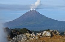 5 Days North Sumatera Adventure : Bukit Lawang & Mount Sibayak