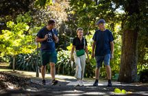 Auckland Small-Group Walking Tour