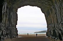 Nugget Point and Cathedral Caves Private Tour from Dunedin