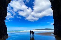 Nugget Point and Cathedral Caves Private Tour from Dunedin