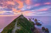 Nugget Point and Cathedral Caves Private Tour from Dunedin