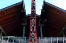 Private Piha Beach, Rainforest Adventure & Mt. Eden with Guide