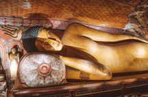 Kandy to Sigiriya and Dambulla Safari Day Tour