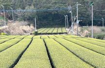 Private Day Tour in Kagoshima