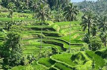 Ubud Hidden Gems And Waterfalls Private Tour