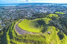 Auckland Sightseeing Tour—Private Full Day/Half Day Driver+Tesla