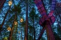 3 Days Driver & Luxury Car Customizable Tour-Unlimited KM