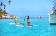 Private Catamaran Charter on Elusive