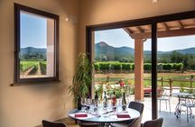 The classics - Guided tour with DOC Bolgheri tasting