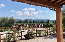 The classics - Guided tour with DOC Bolgheri tasting
