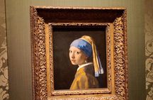 Private Guided City Tour of The Hague & Mauritshuis Museum Entry