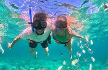 Cabo San Lucas Catamaran: Snorkel, Open Bar & Scenic Cruise
