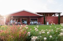 The selections - visit with Bolgheri wine tasting