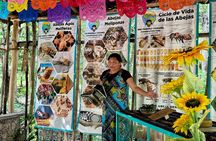 Cozumel: Honey Tasting & Hands-On Chocolate Experience