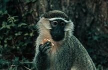 One Day Epic Trip to Nyerere National Park (selous)