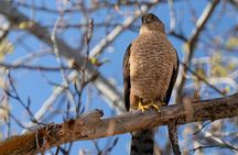4 day enjoy Udzungwa and Mikumi National Park