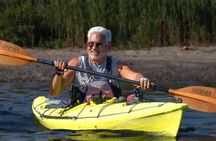 1 Hour Guided Kayak Tour in Cold Spring Harbor NY