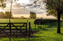 Gaucho Day Trip to El Ombu de Areco