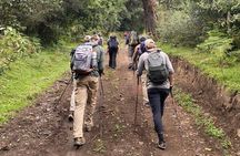 7 Day Kilimanjaro Trek Lemosho Machame Marangu or Rongai Umbwe 
