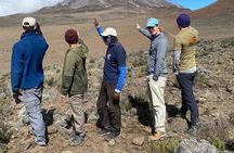 7 Day Kilimanjaro Trek Lemosho Machame Marangu or Rongai Umbwe 