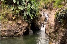 El Yunque Rainforest VIP Tour